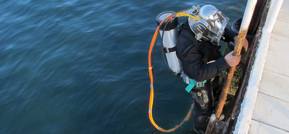 Diver on a ladder