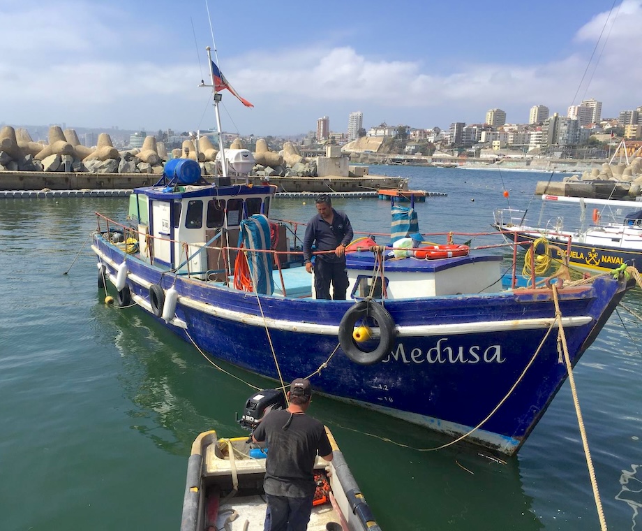 Diving ship in Chile