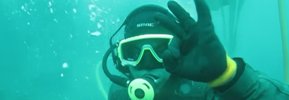 Diver on the dock