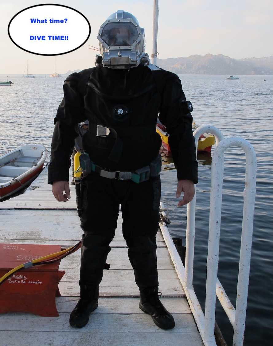 Diver on the dock