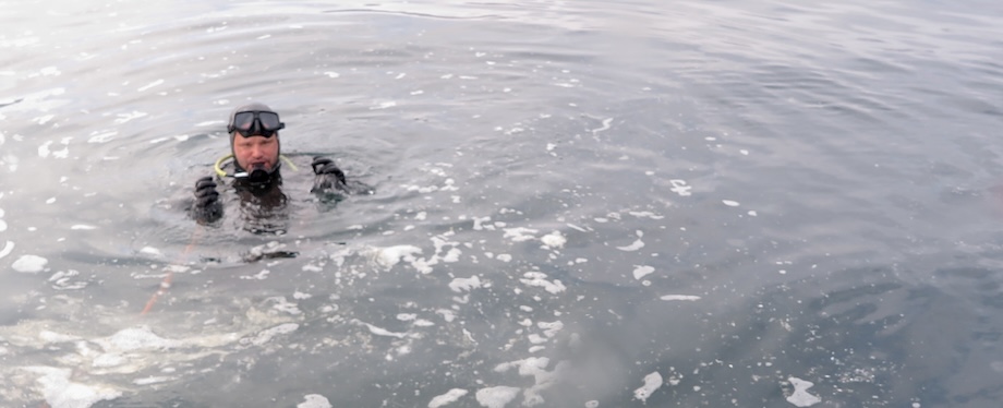 Diver in the water
